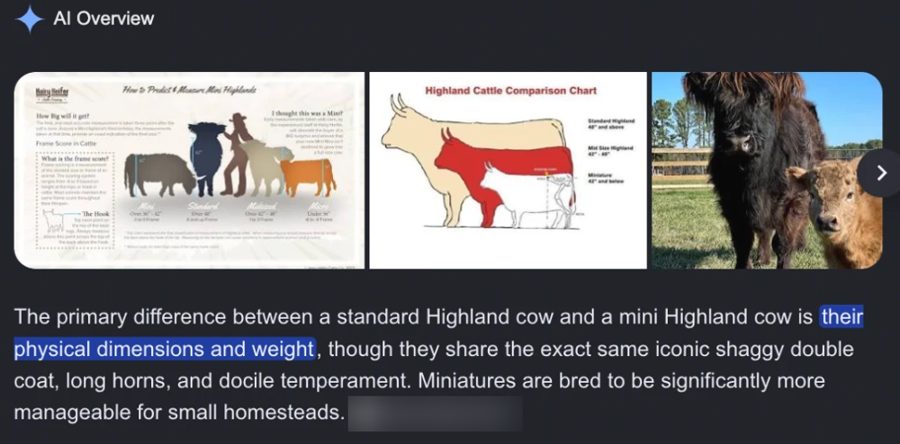 Google AI Overview citing the client's article as a source (client name blurred)